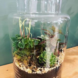 Terrarium - Wildberry Flowers